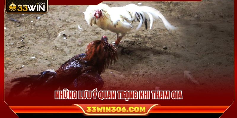 Những lưu ý hữu ích dành cho người mới trước khi tham gia 