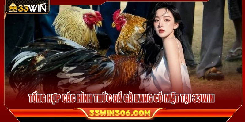 Những loại hình đá gà nổi bật trên nền tảng 33 WIN 
