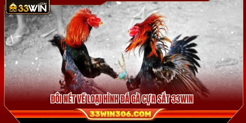 Tìm hiểu sức hút của hình thức đá gà cựa sắt 33WIN 