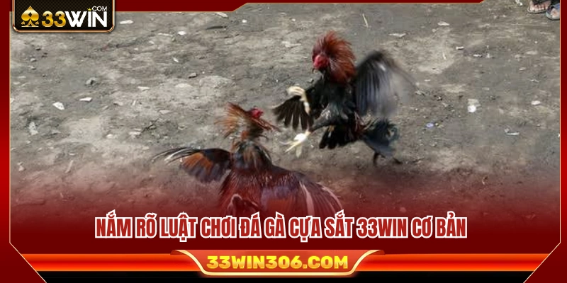 các quy tắc cơ bản khi tham gia đá gà cựa sắt 33WIN 