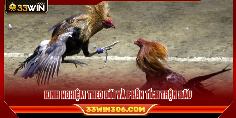 Bí quyết quan sát và phân tích trước trận đấu 