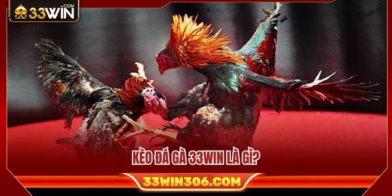 Tìm hiểu tổng quan về hình thức kèo đá gà 33WIN 