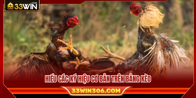 Ý nghĩa của những thông số và ký hiệu trên bảng kèo. 