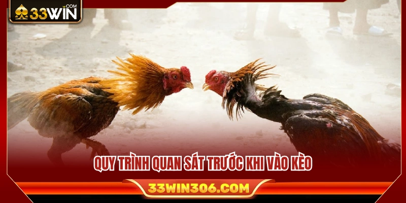 Quy trình phân tích thông tin trước khi quyết định vào kèo 
